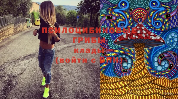 амфетамин Алексин