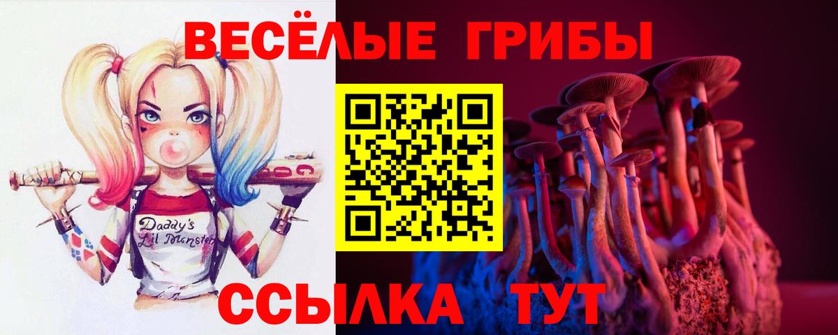 Псилоцибиновые грибы прущие грибы  Вход с VPN  Урюпинск 